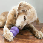 Juguete KONG Senior - L