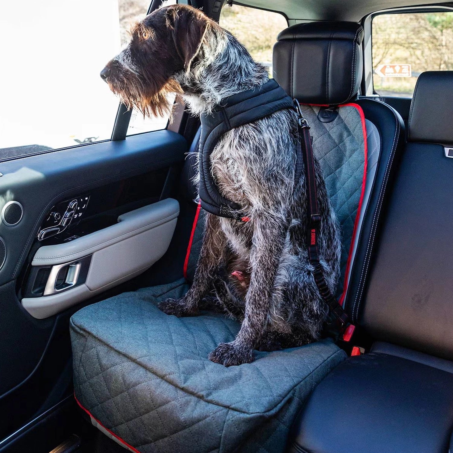 KONG Funda para Asiento Individual de Auto acolchada en color gris con bordes rojos, diseñada para proteger el asiento del vehículo.