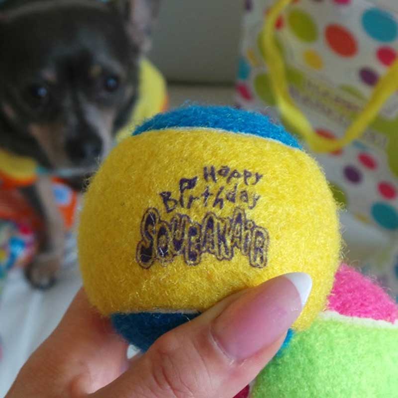 Pelotas de Tenis "Kong Squeakair" Happy Birthday.