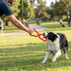 Juguete KONG Tug para Halar color rojo, mordedor de goma resistente con doble asa para juegos de tirar entre perro y dueño.