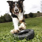 Juguete Neumático KONG "Tires" 