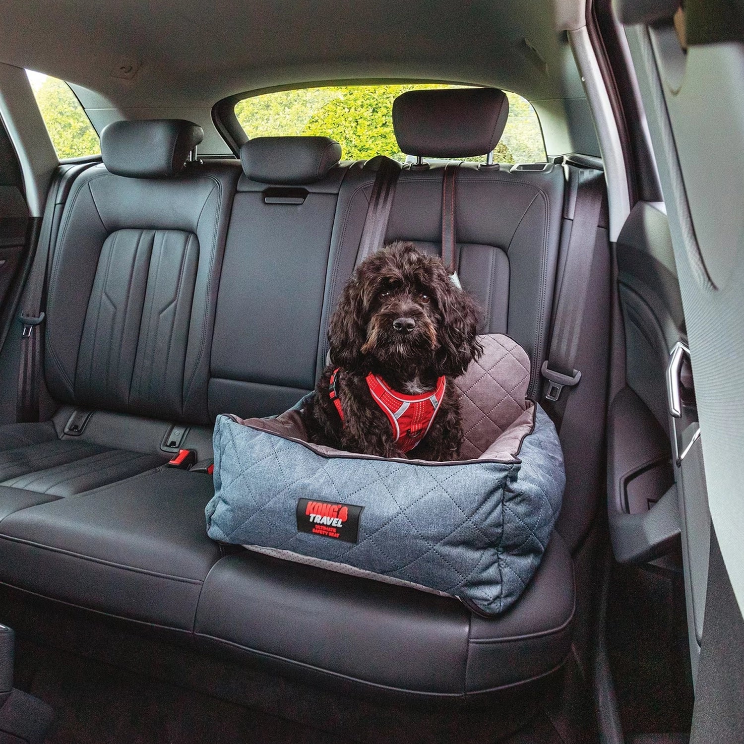 KONG Asiento para Auto con Correa de Seguridad Ultimate acolchado en color gris, con correa integrada para viajar con perros de forma segura.