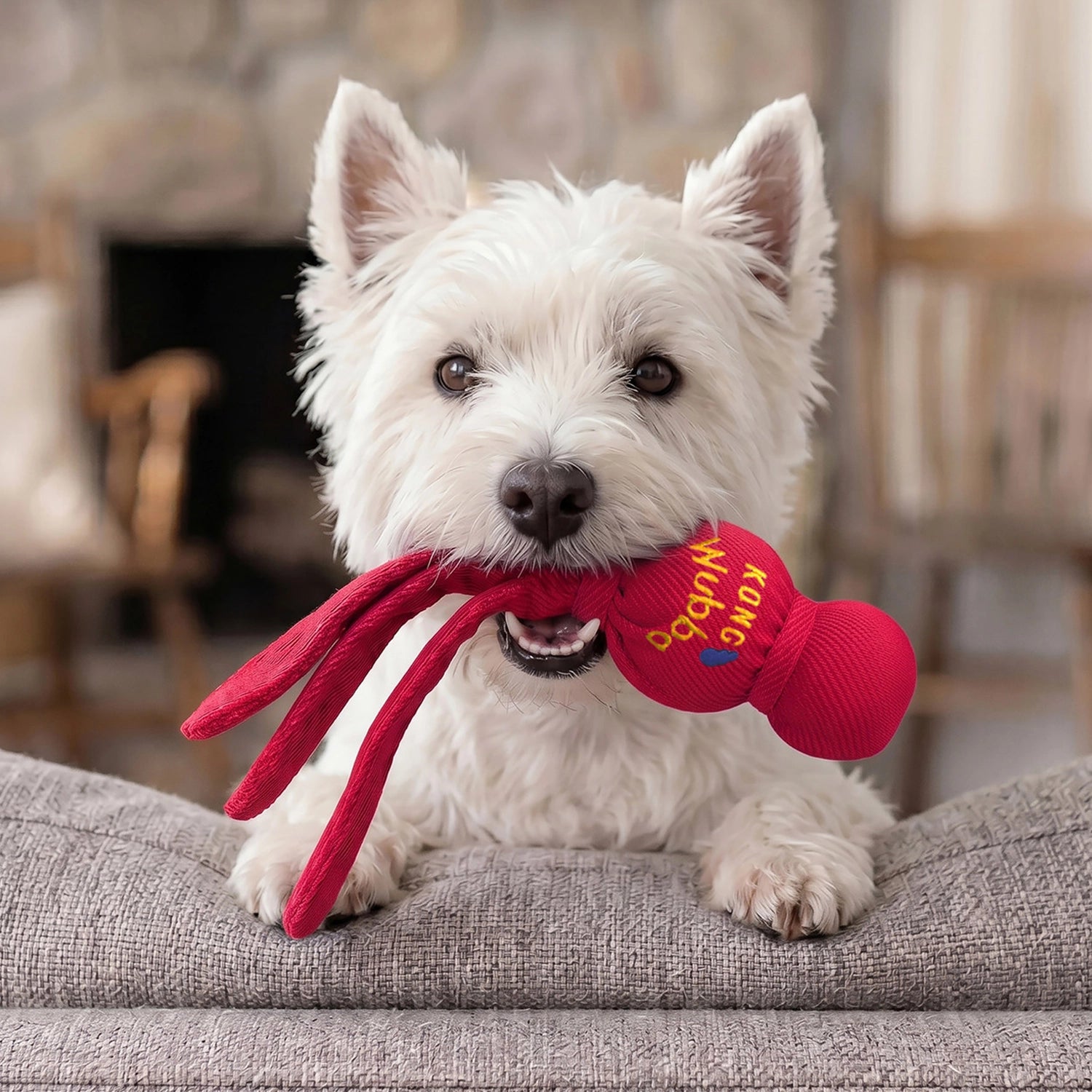 Juguete KONG WUBBA color rojo para perros, diseño con pelota resistente y cintas largas para lanzar, tirar y jugar.