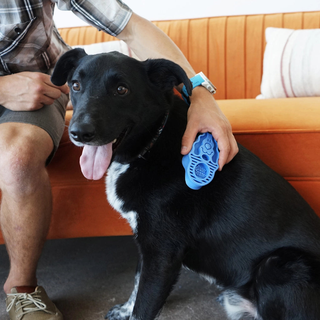Cepillo Kong Zoom Groom para Perros color azul, herramienta de goma flexible con púas suaves para masaje y eliminación de pelo.