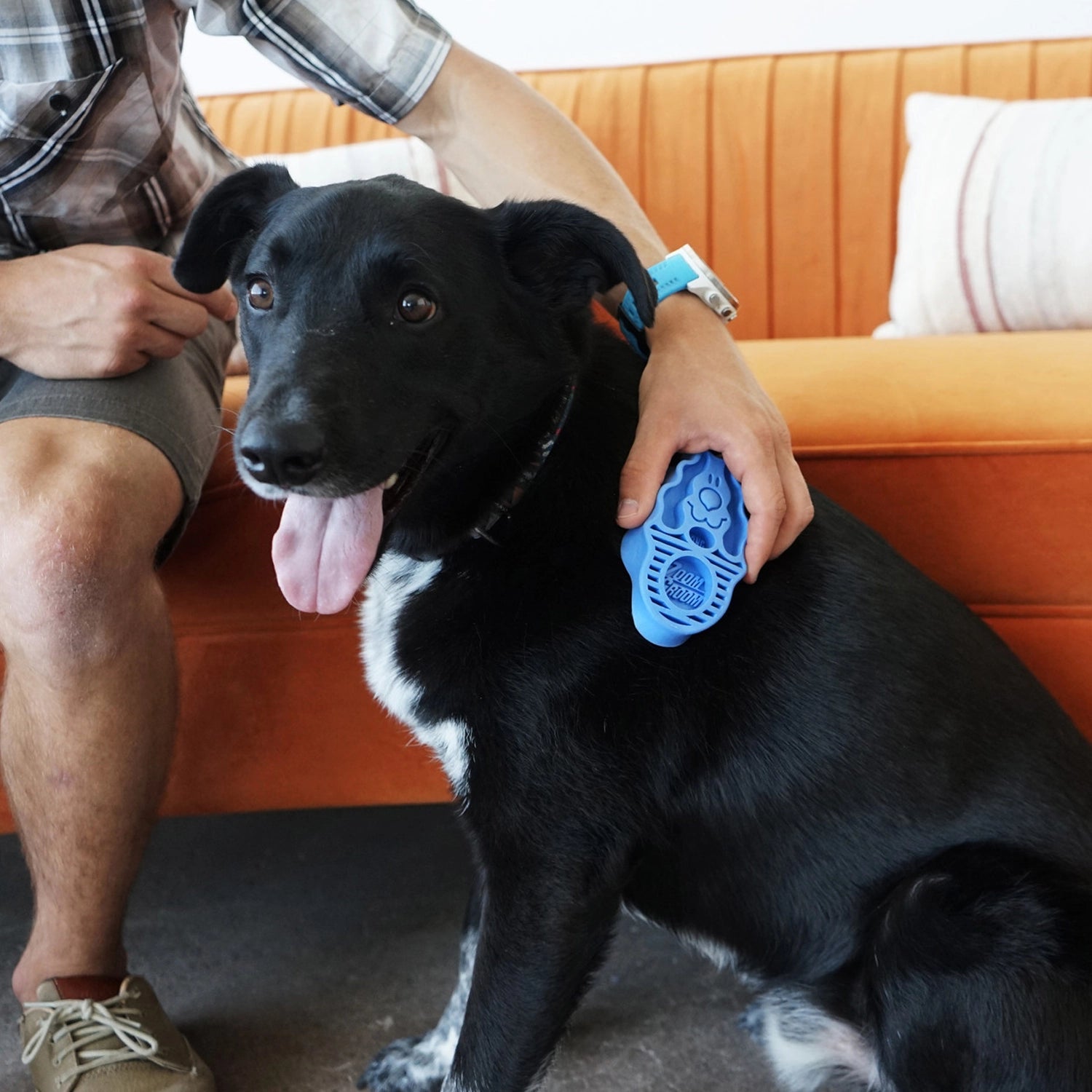 Cepillo Kong Zoom Groom para Perros color azul, herramienta de goma flexible con púas suaves para masaje y eliminación de pelo.