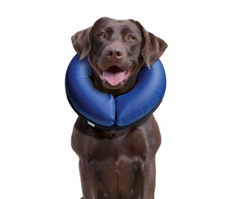 Collar Isabelino Inflable Kong Cloud 