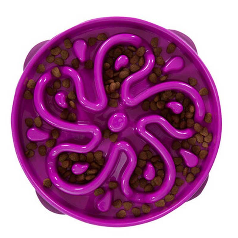 Comedero Lento "Fun Feeder Slow Bowl" - Small / Rosado