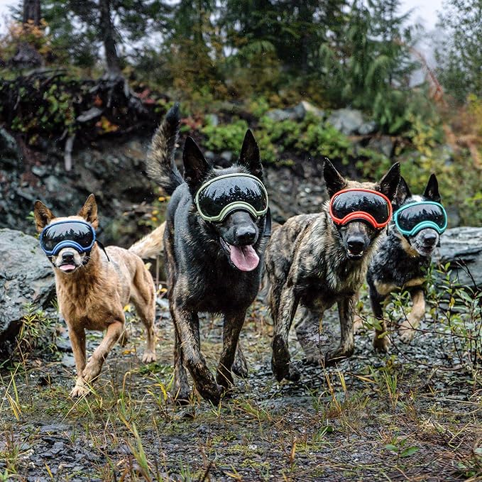 Rex Specs V2 Antiparra para Perros Black - XL