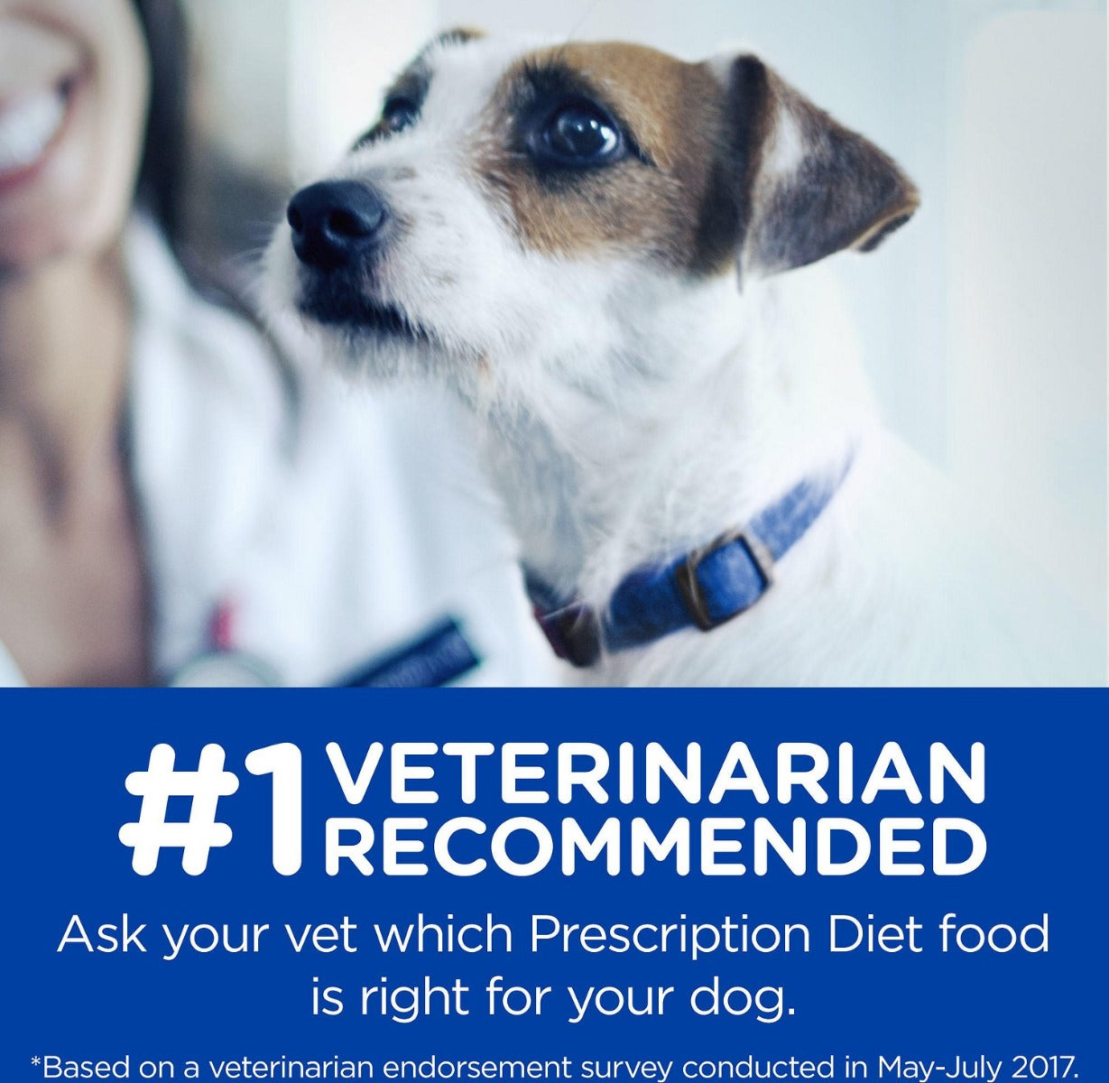 Hill's i/d en Lata Cuidado Digestivo para Perros