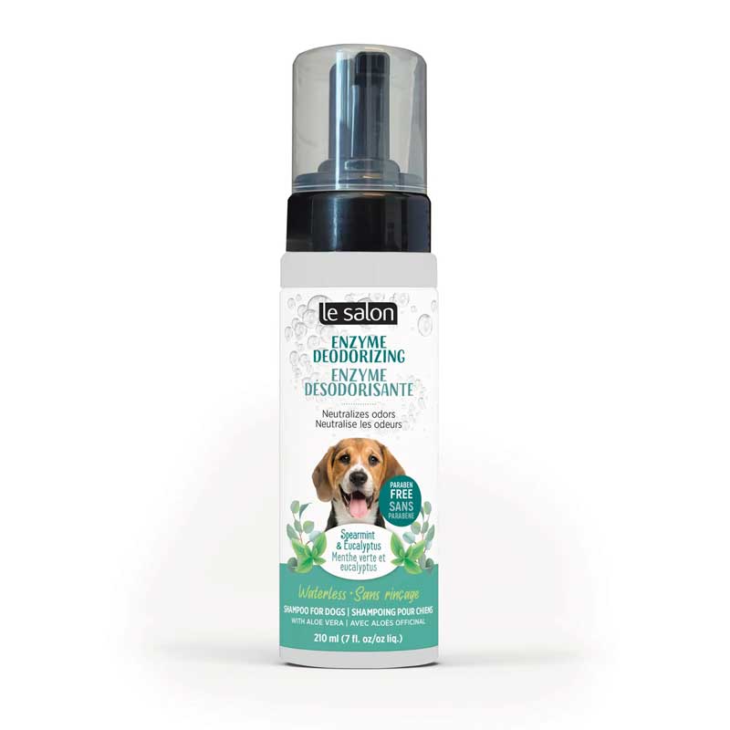Le Salon Shampoo Desodorizante en Seco 210 ml