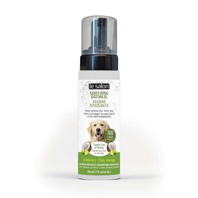 Le Salon Shampoo Avena en Seco 210 ml
