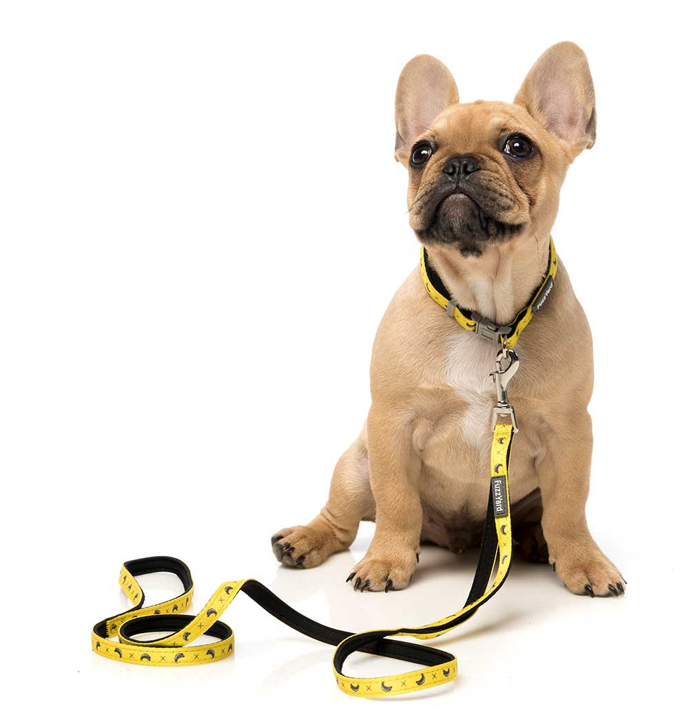 Correa para Perros "Monkey Mania" Fuzzyard