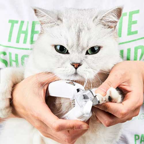 Corta Uñas con Luz Led y Lima