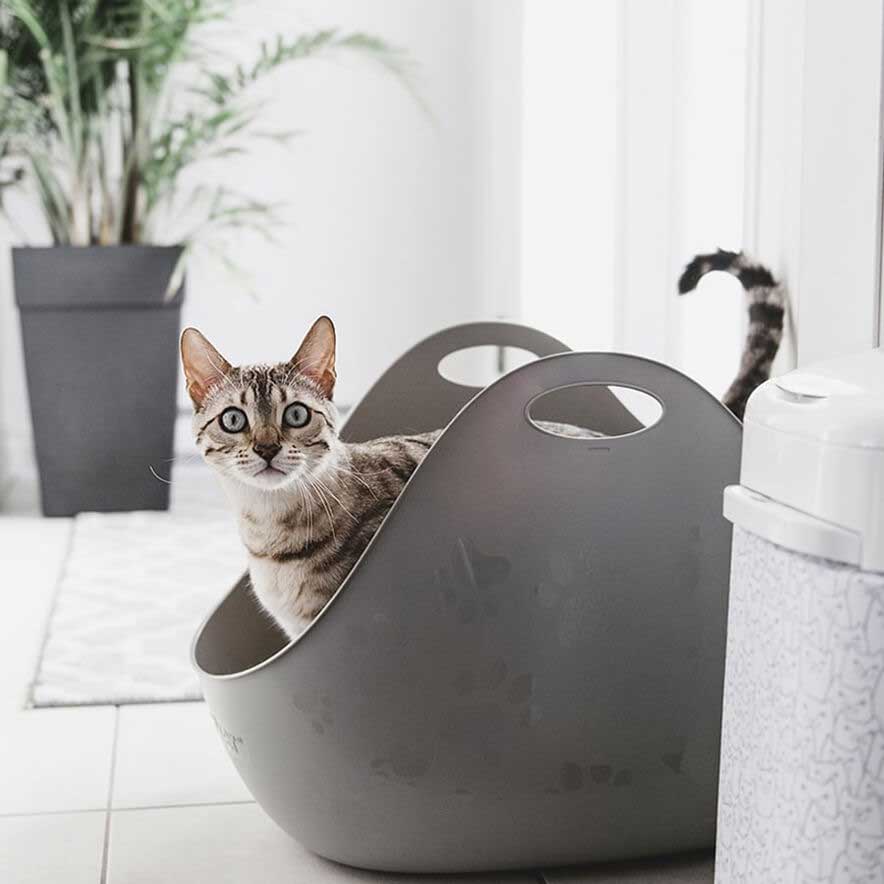 Bandeja Sanitaria con Pala LitterLocker