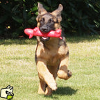 Juguete Long Dog
