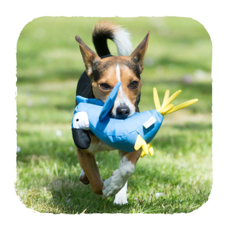 Peluche Ecológico "Loro Lucy" Beco Pets - Medium