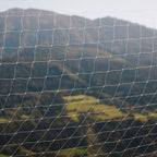 Malla de Seguridad Pawise para Gatos