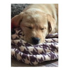 Manta para Mascotas "Houndstooth" Tall Tails