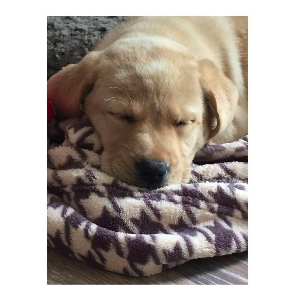 Manta para Mascotas "Houndstooth" Tall Tails