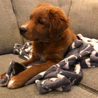 Manta para Mascotas "Grey Icon" Tall Tails - 51 cm x 76 cm