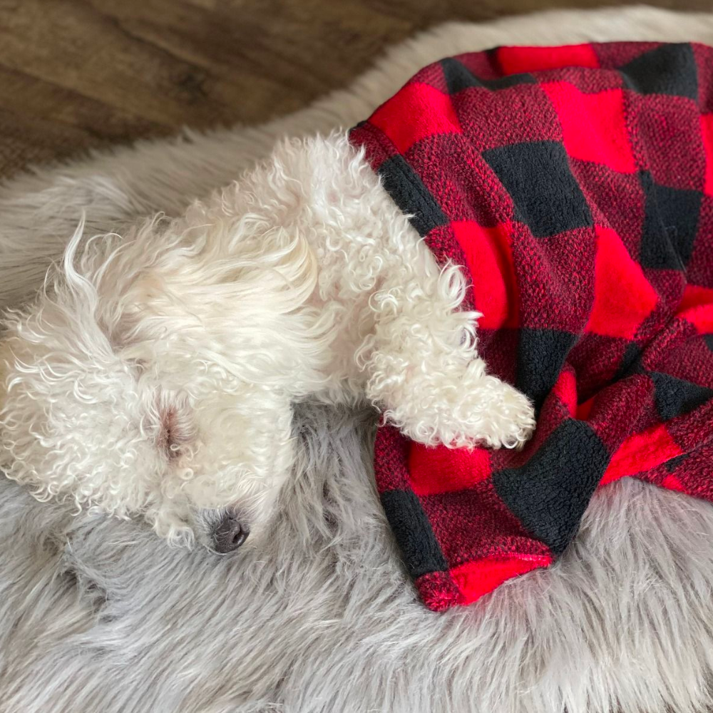 Manta para Mascotas "Hunter's Plaid" Tall Tails - 51 cm x 76 cm