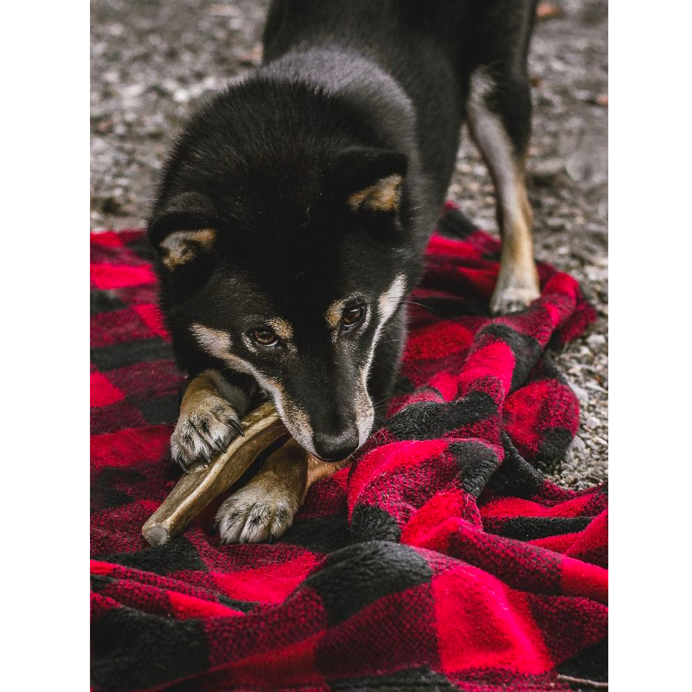 Manta para Mascotas "Hunter's Plaid" Tall Tails