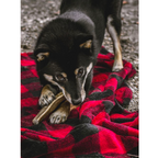 Manta para Mascotas "Hunter's Plaid" Tall Tails