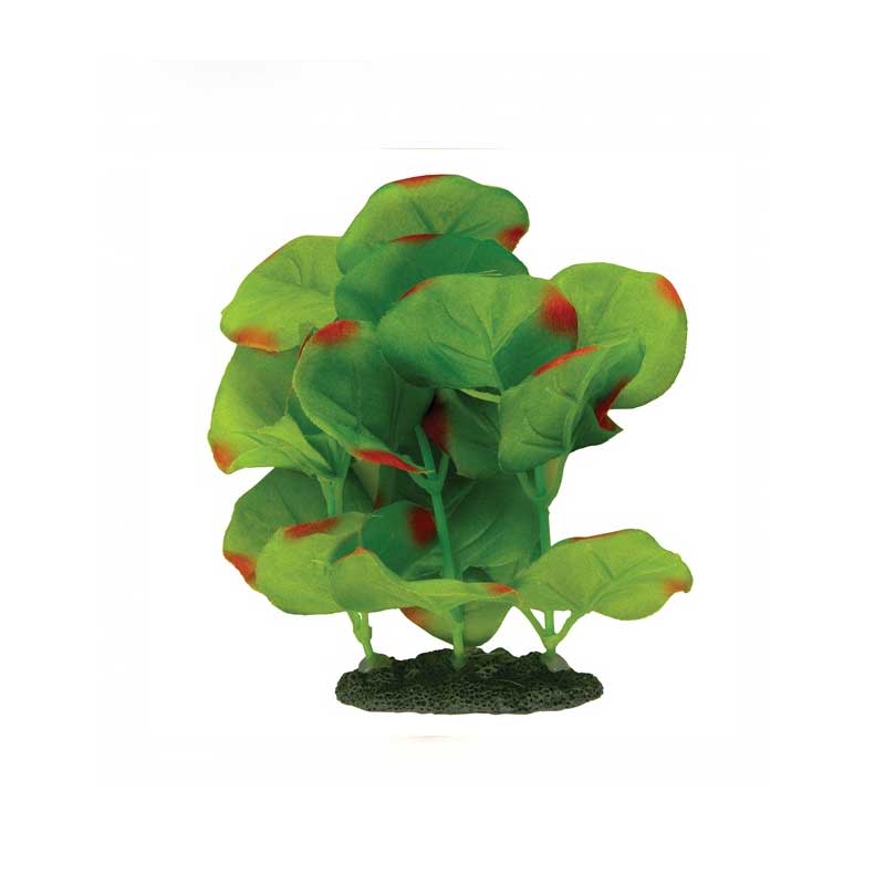 Planta de Seda Verde Manchas Rojo Marina Naturals