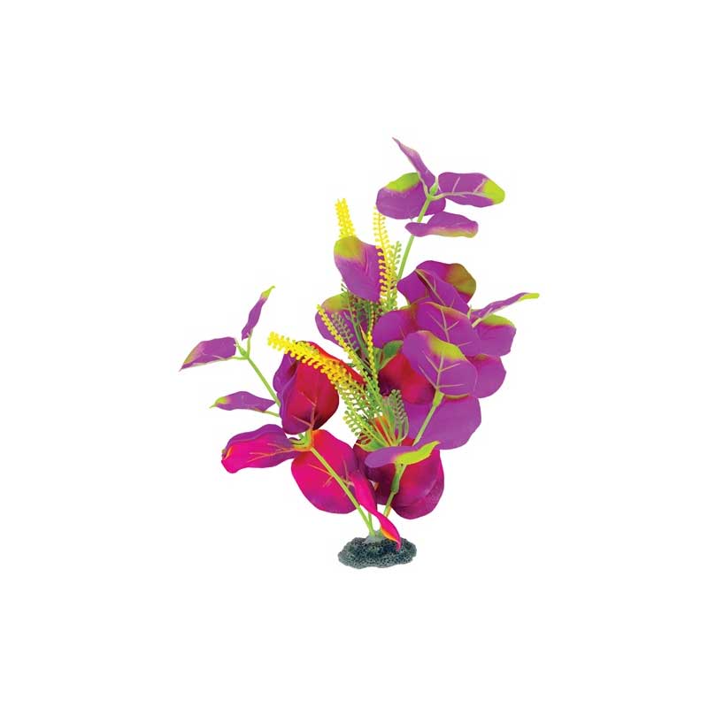 Planta de Seda Índigo y Rojo Marina Naturals