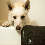Mat para Ducha "Wet Paws" Tall Tails