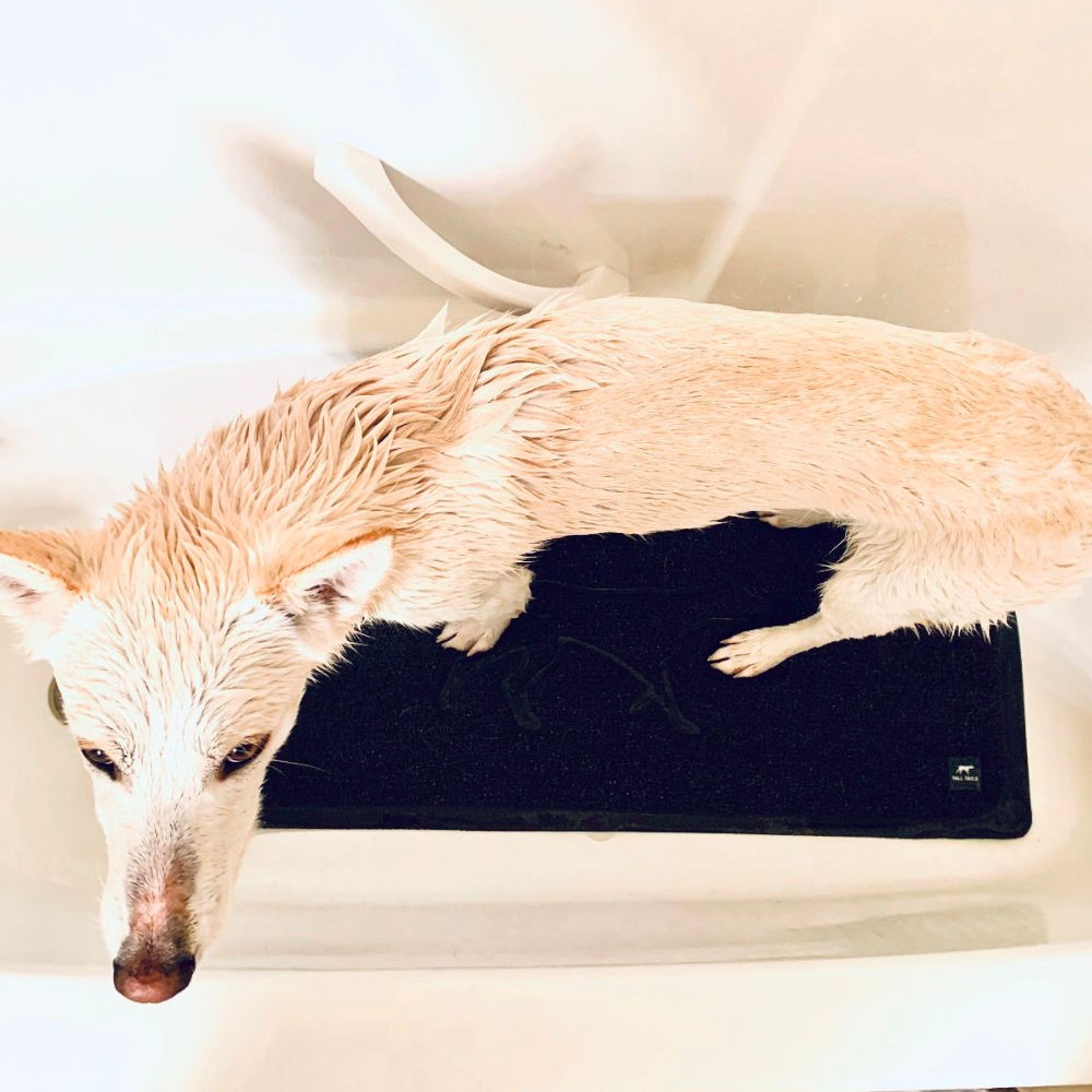 Mat para Ducha "Wet Paws" Tall Tails
