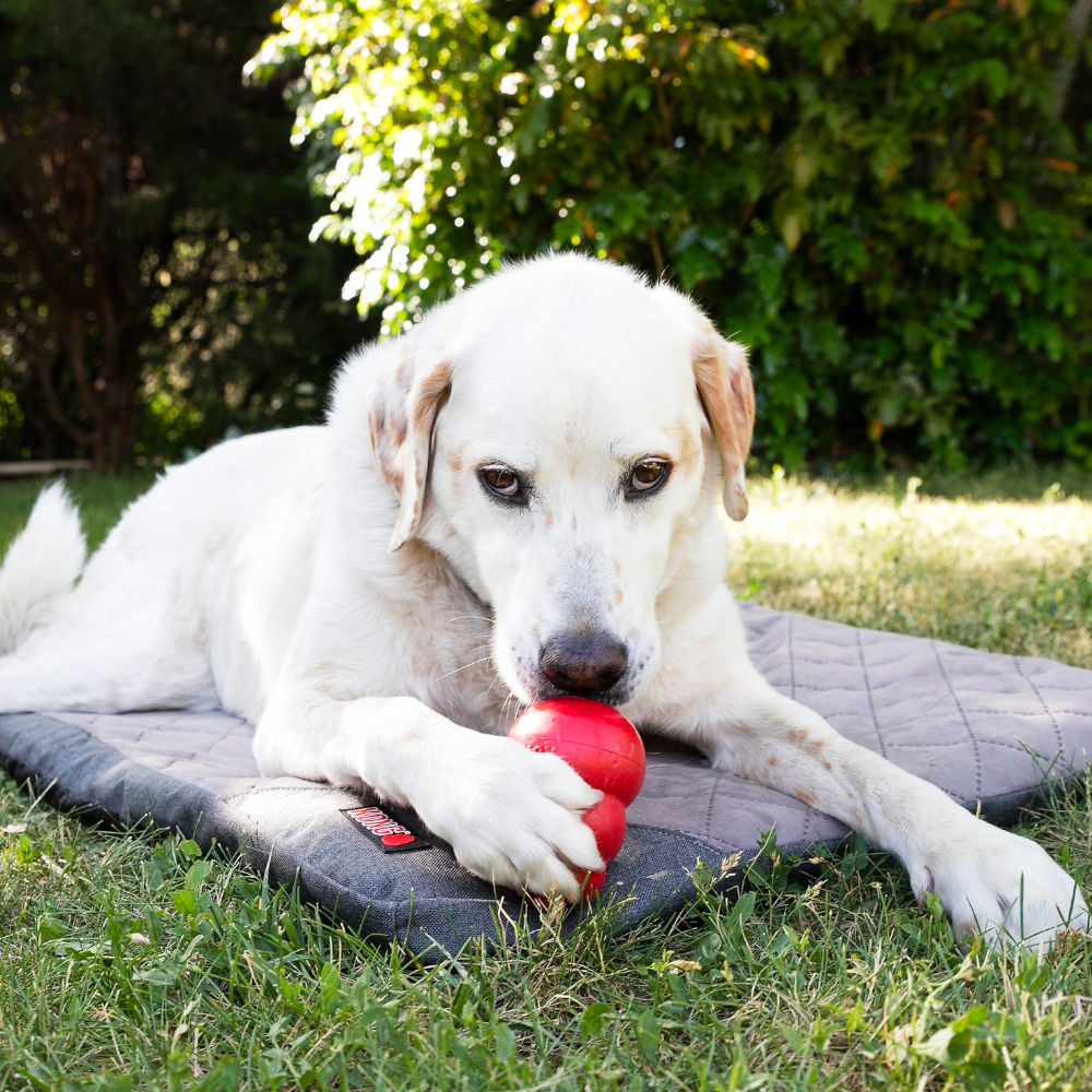 Mat Plegable de Viaje "Kong Travel"