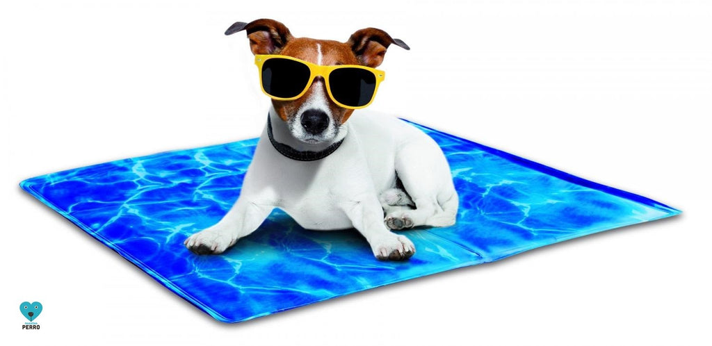 Mat Refrescante para Perros - Large