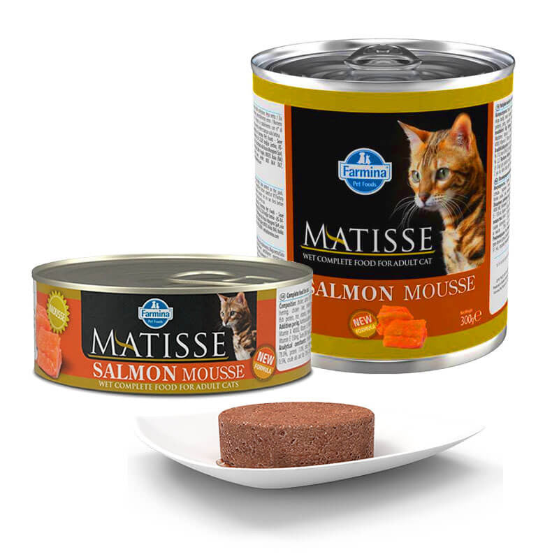 Matisse Lata Mousse de Salmón