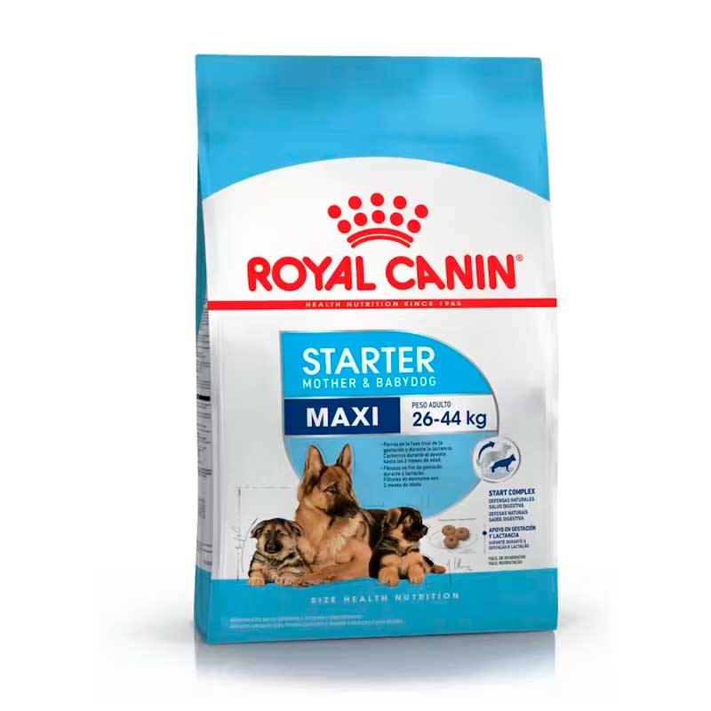 Royal Canin Maxi Starter 10 Kg