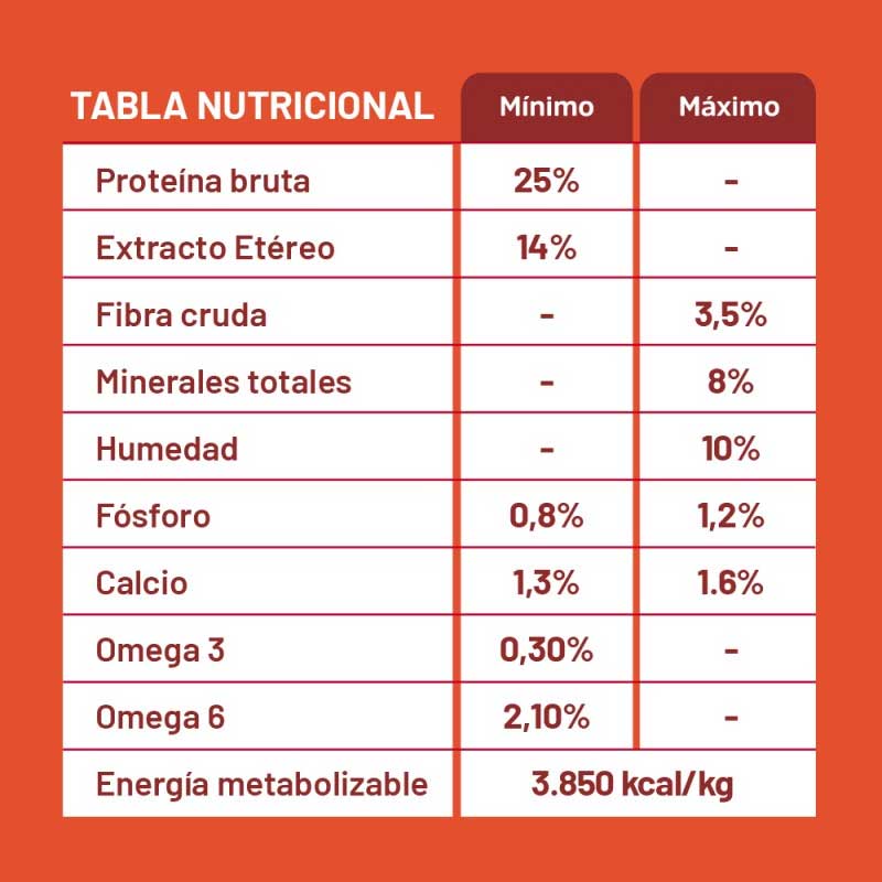 Maxxium para Perros Adultos