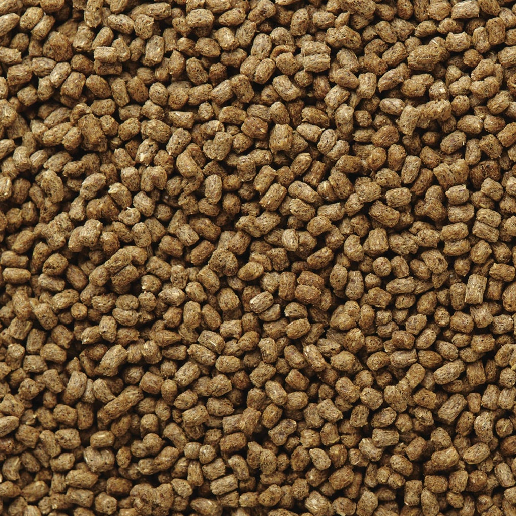 Mazuri "Bearded Dragon Diet" para Dragón Barbudo, bolsa de alimento para reptiles con imagen de dragón barbudo en portada.