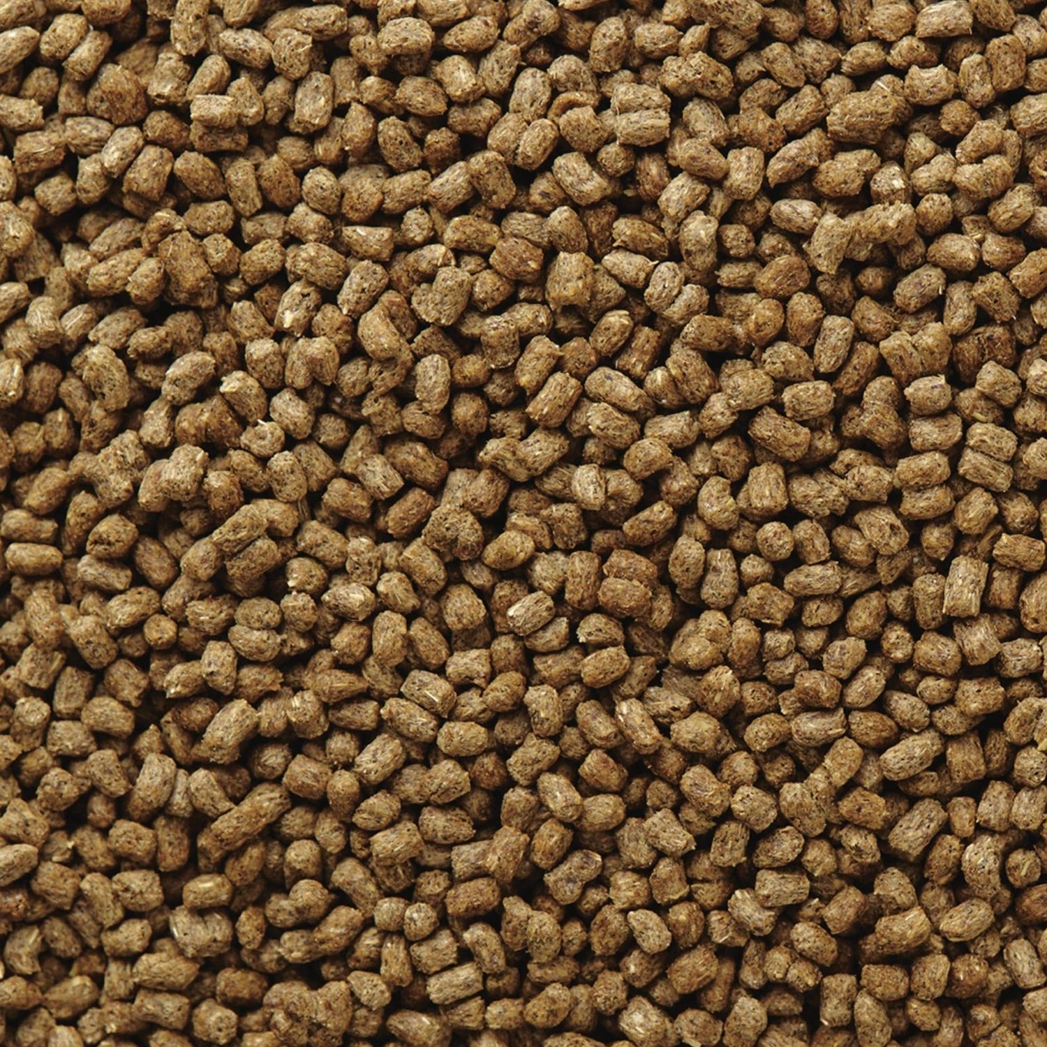 Mazuri "Bearded Dragon Diet" para Dragón Barbudo, bolsa de alimento para reptiles con imagen de dragón barbudo en portada.