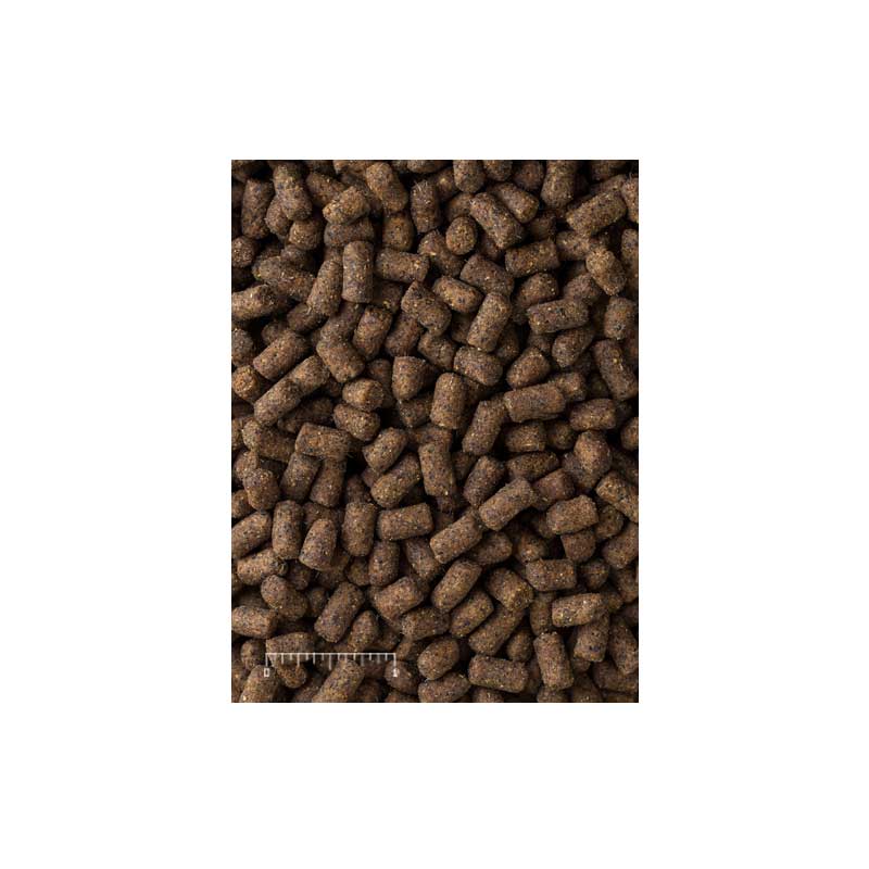 Mazuri Alimento para Hurón "Ferret Diet"