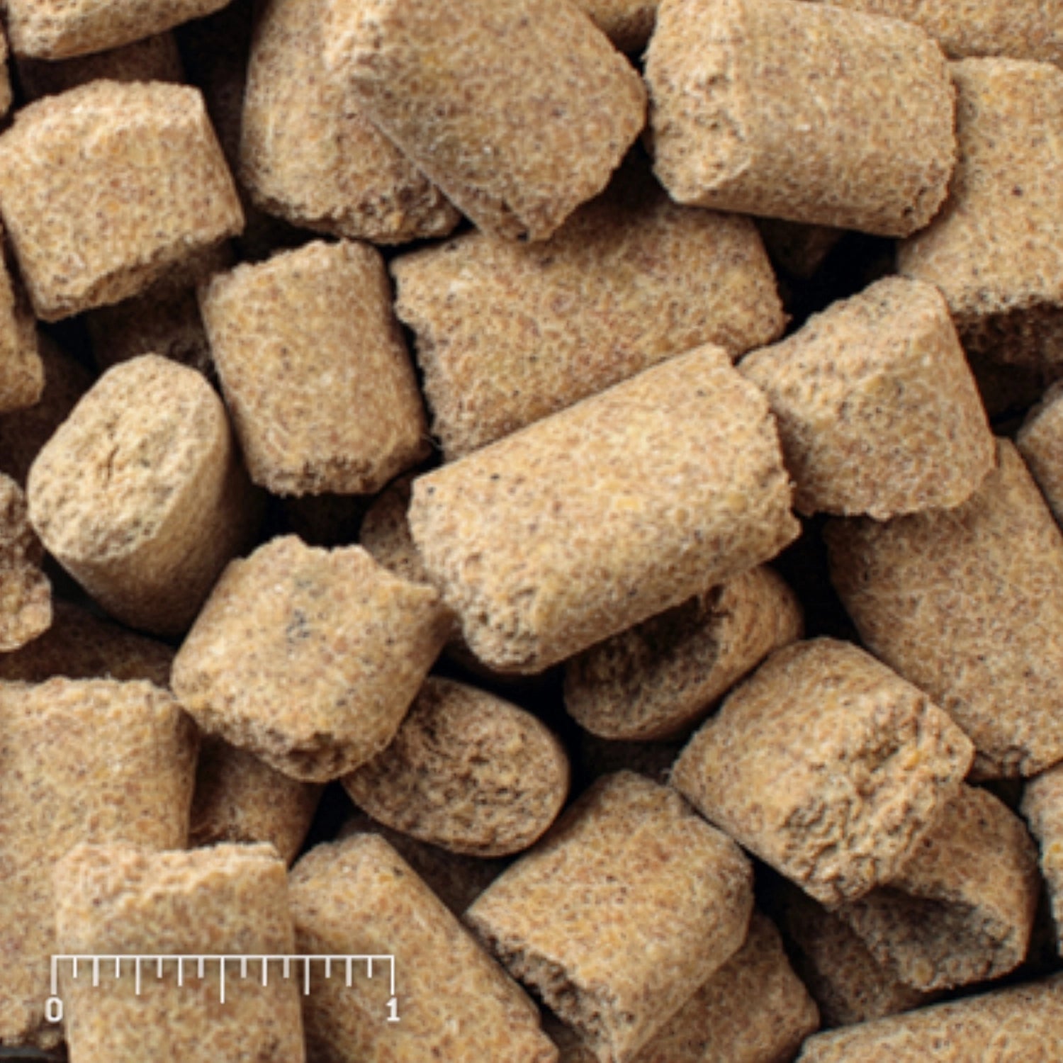Mazuri Alimento para Ratas y Ratones "Rat & Mouse Diet", bolsa blanca y morada con pellets, una rata y un ratón.