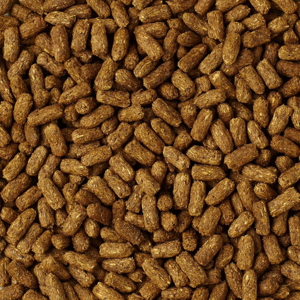 Mazuri "Tortoise Diet LS" para Tortugas Terrestres