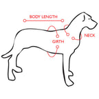 Arnés Chest Plate EzyDog - Naranjo / Extra Small