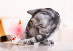 Juguete Interactivo "Wobble Feather" Pet Droid 