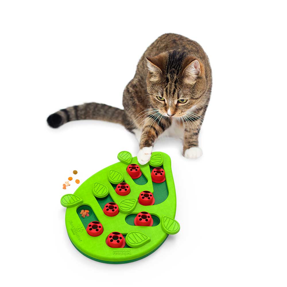 Nina Ottosson "Buggin' Out" para Gatos 