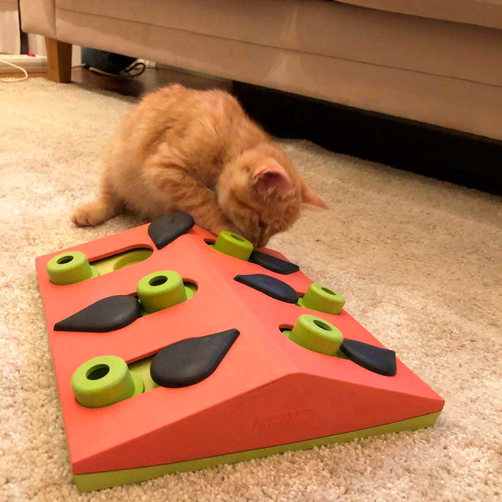 Nina Ottosson "Melon Madness" para Gatos 