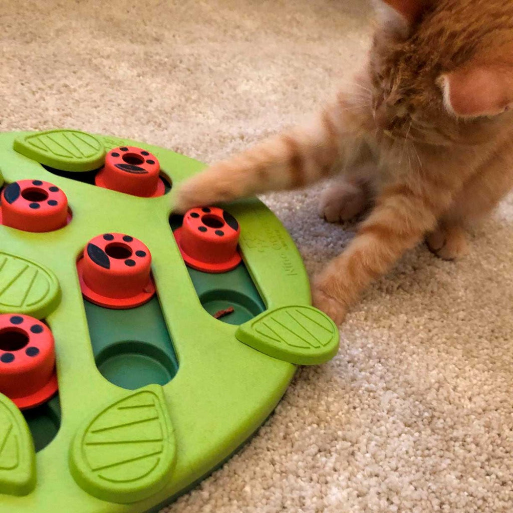 Nina Ottosson "Buggin' Out" para Gatos 