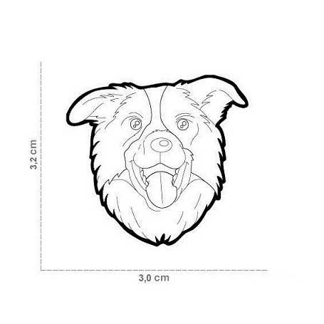 Placa Friends Perro "My Family" Border Collie