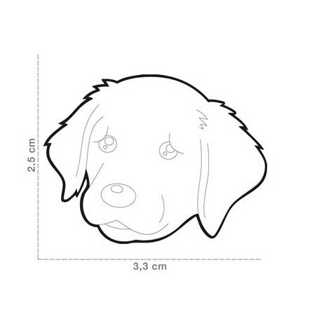 Placa Friends Perro "My Family" Golden Retriever