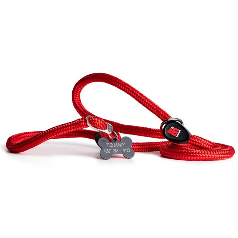 My Family Correa de Entrenamiento NFC Memopet para Perros Rojo