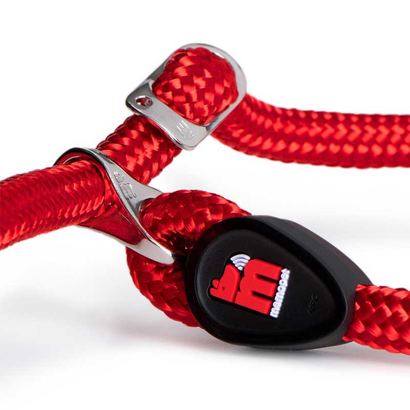 My Family Correa de Entrenamiento NFC Memopet para Perros Rojo